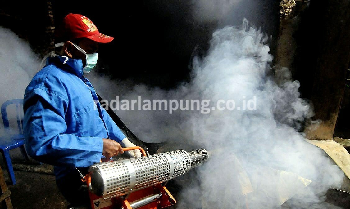 Belum Dua Bulan, Tercatat 82 Kasus DBD di Tanggamus