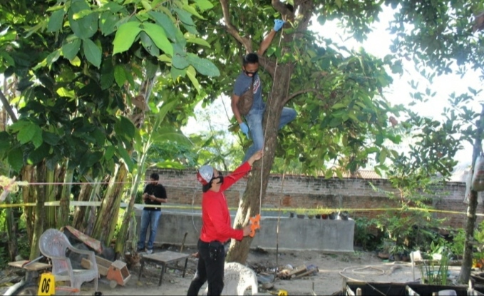 Remaja Asal Pringsewu Barat Diduga Bunuh Diri