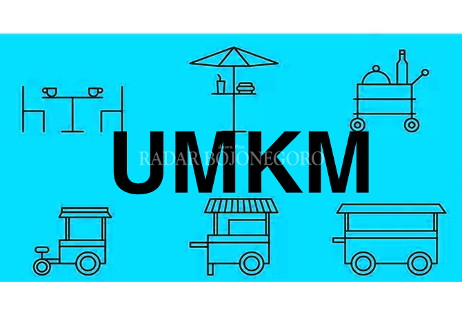 Pemkab Mesuji Dorong Pelaku UKM dapat KUR