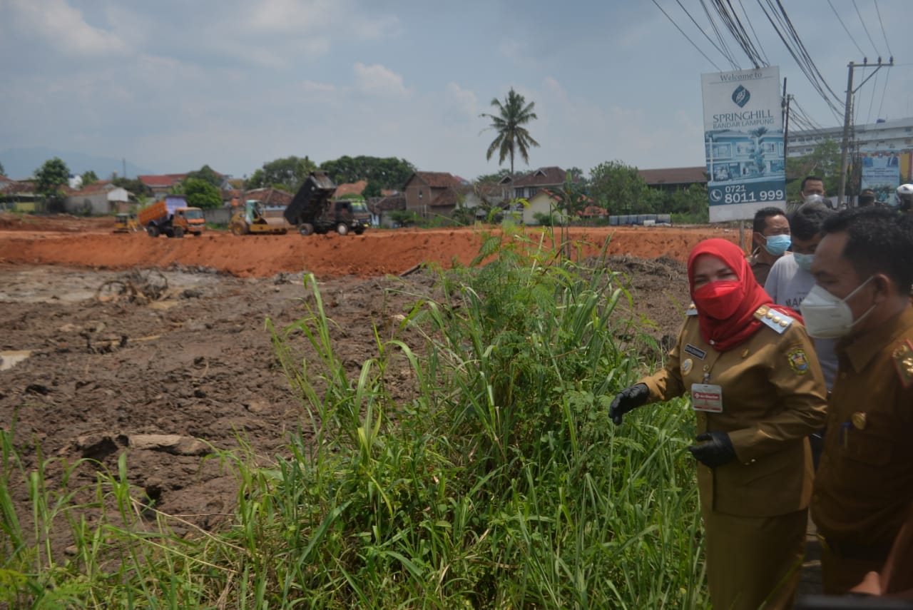 TINJAU