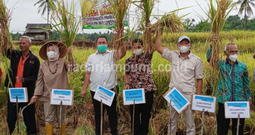 Rubah Pola Pikir Petani Agar Gunakan Pupuk Organik
