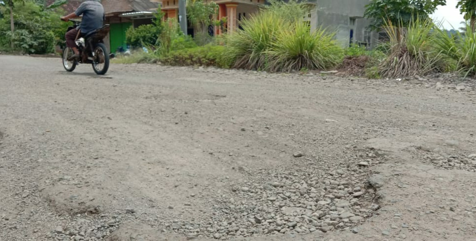 Anggota DPRD Tanggamus Soroti Kerusakan Jalan Menuju Suoh