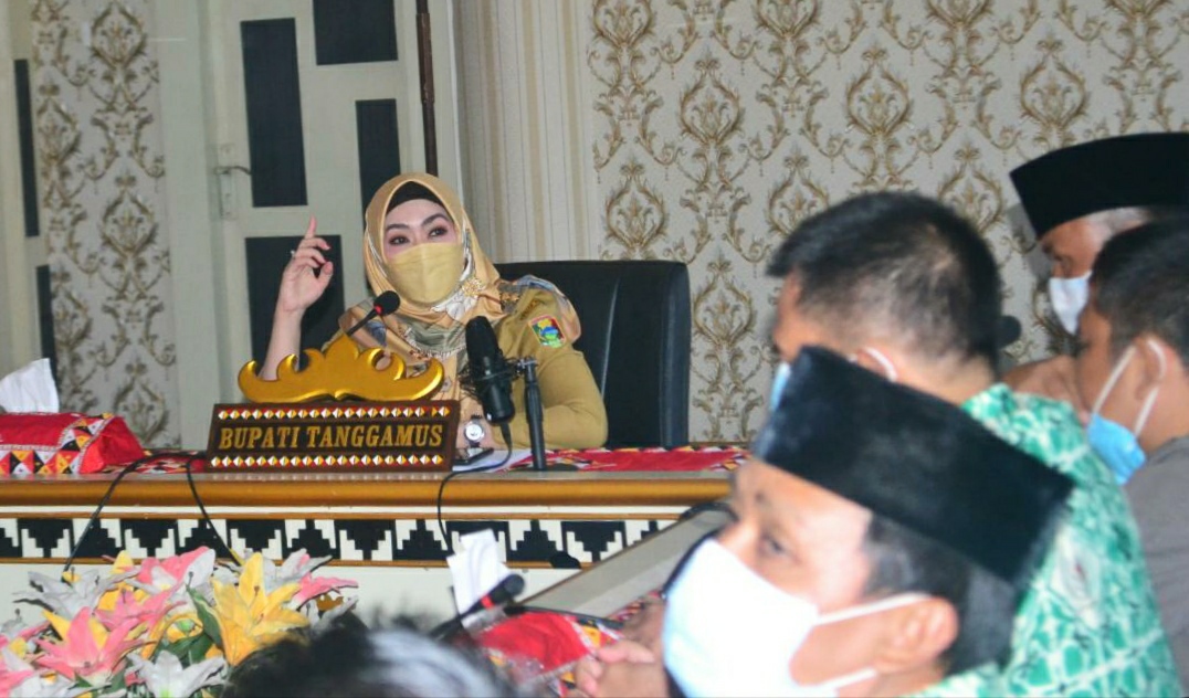 Apdesi Tanggamus Audiensi Dengan Bupati