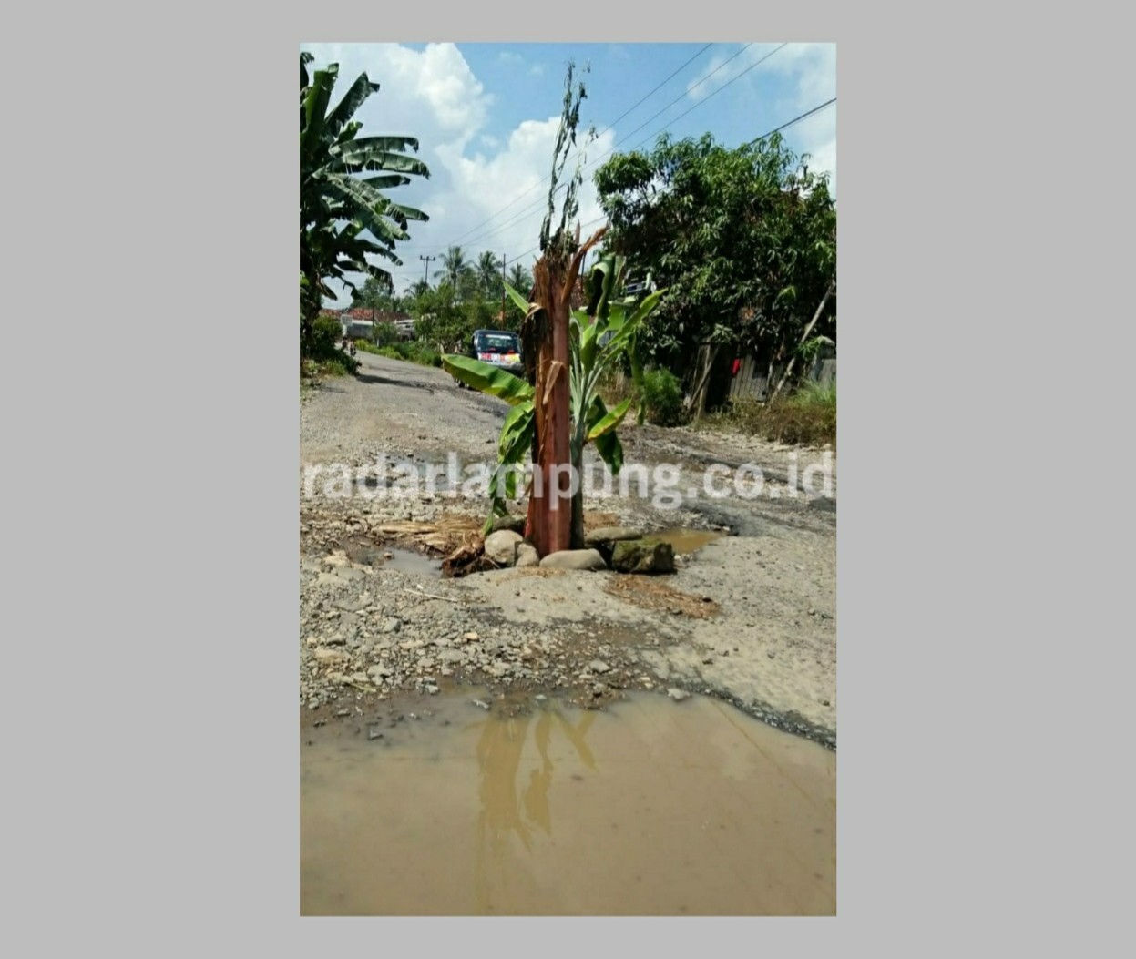 Usulkan Perbaikan Jalan Gedongtataan-Kedondong