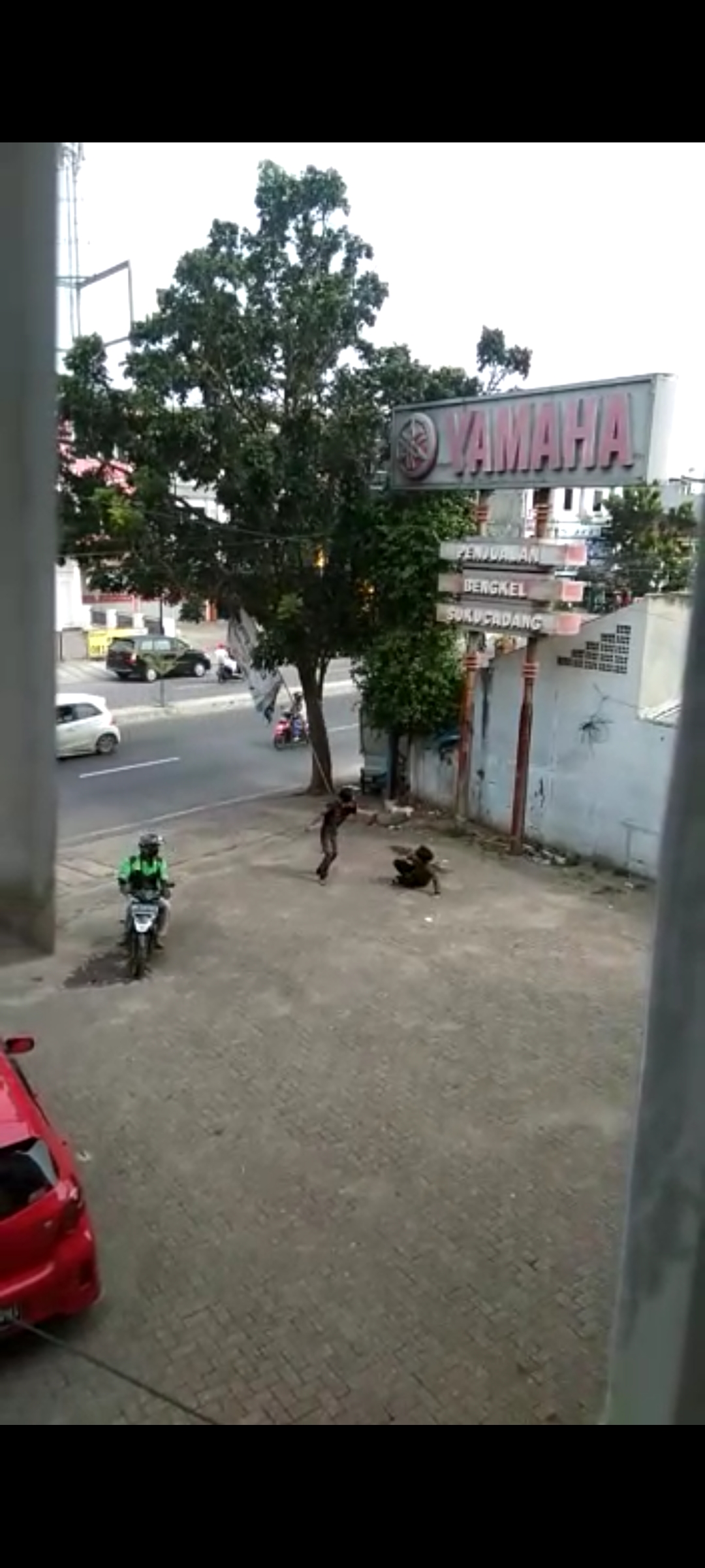 Viral, Aksi Duel 2 Pemuda dengan Sajam Terekam Video