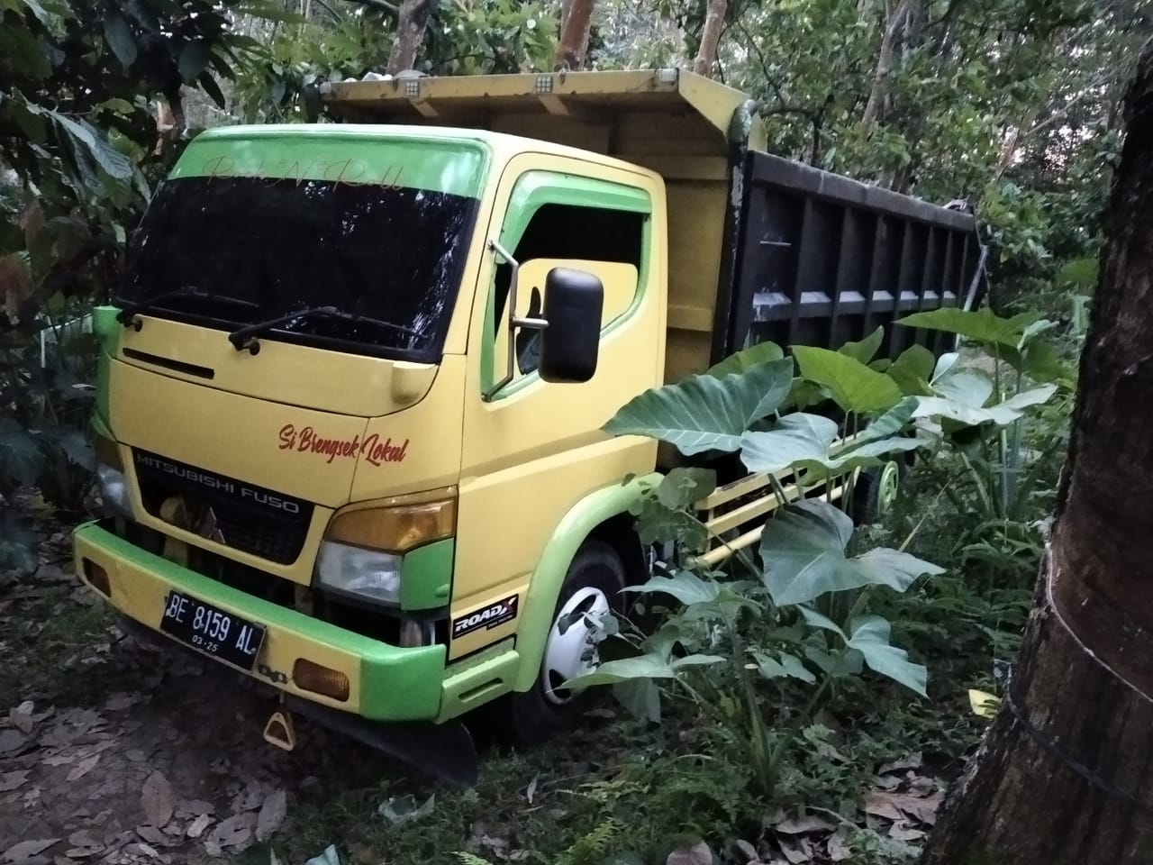 Polhut Amankan Satu Truk Pembawa 25 Batang Sonokeling dari Tahura WAR