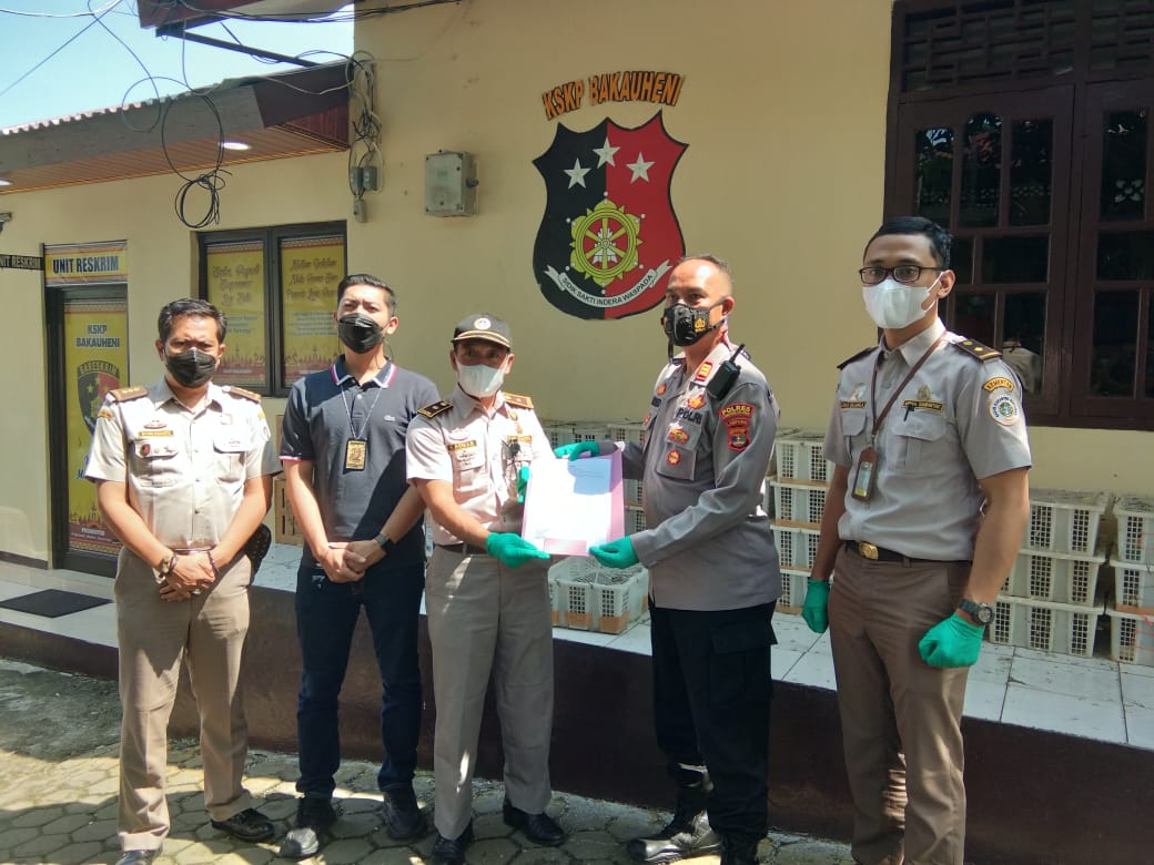 KSKP Bakauheni Gagalkan Penyelundupan Ribuan Ekor Burung