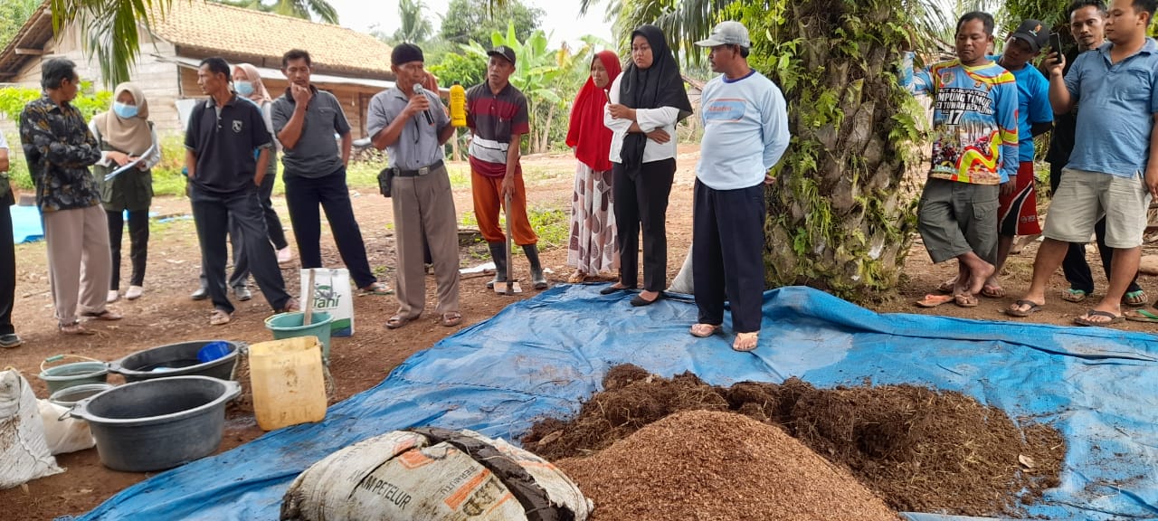 Pupuk Kimia Melejit, Disbun Waykanan Ajarkan Petani Buat Pupuk Organik