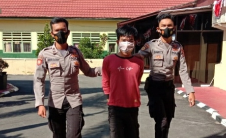 Pulang Kampung, Pencuri Merpati Diciduk