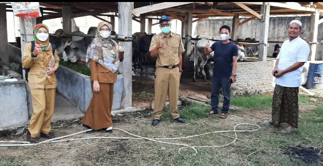 Mau Tahu Kesehatan Hewan Kurban? Hubungi Nomor Ini 