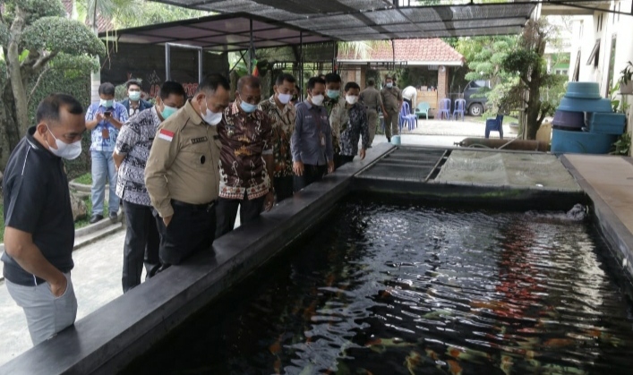 Pembudidaya Koi Berharap Akses Perluasan Pasar