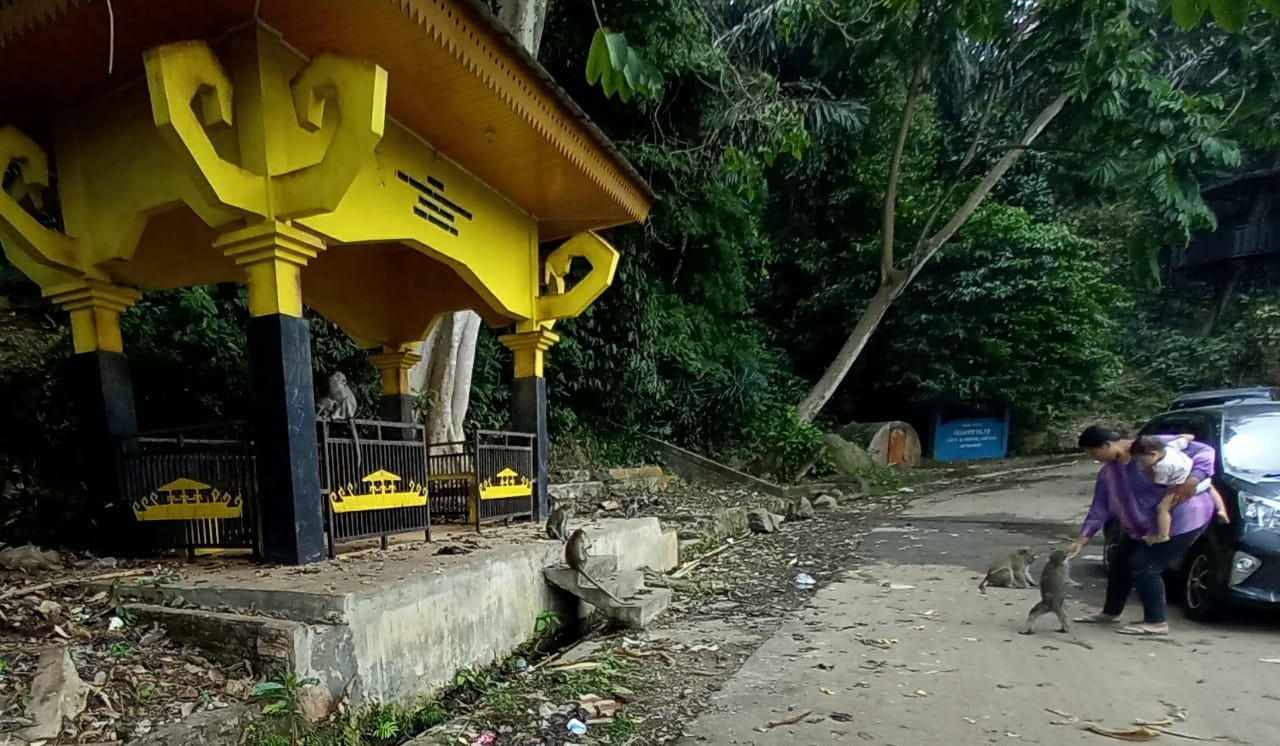 BUTUH PERHATIAN
