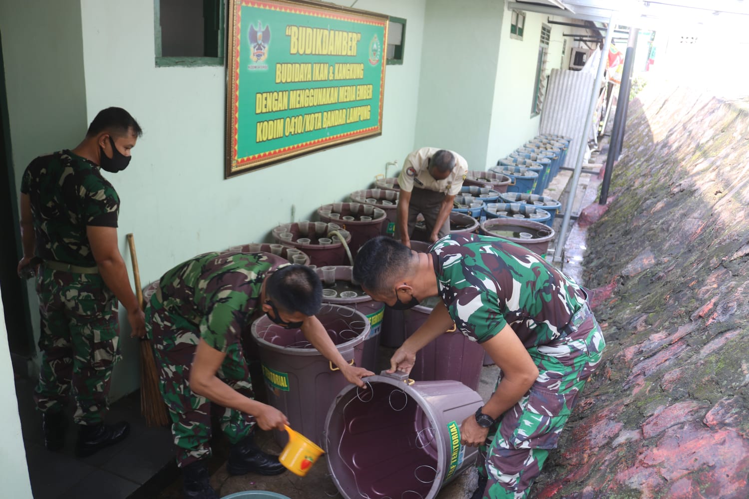 Personel Kodim 0410/KBL Bersihkan Ember, Guna Penuhi Panen Maksimal