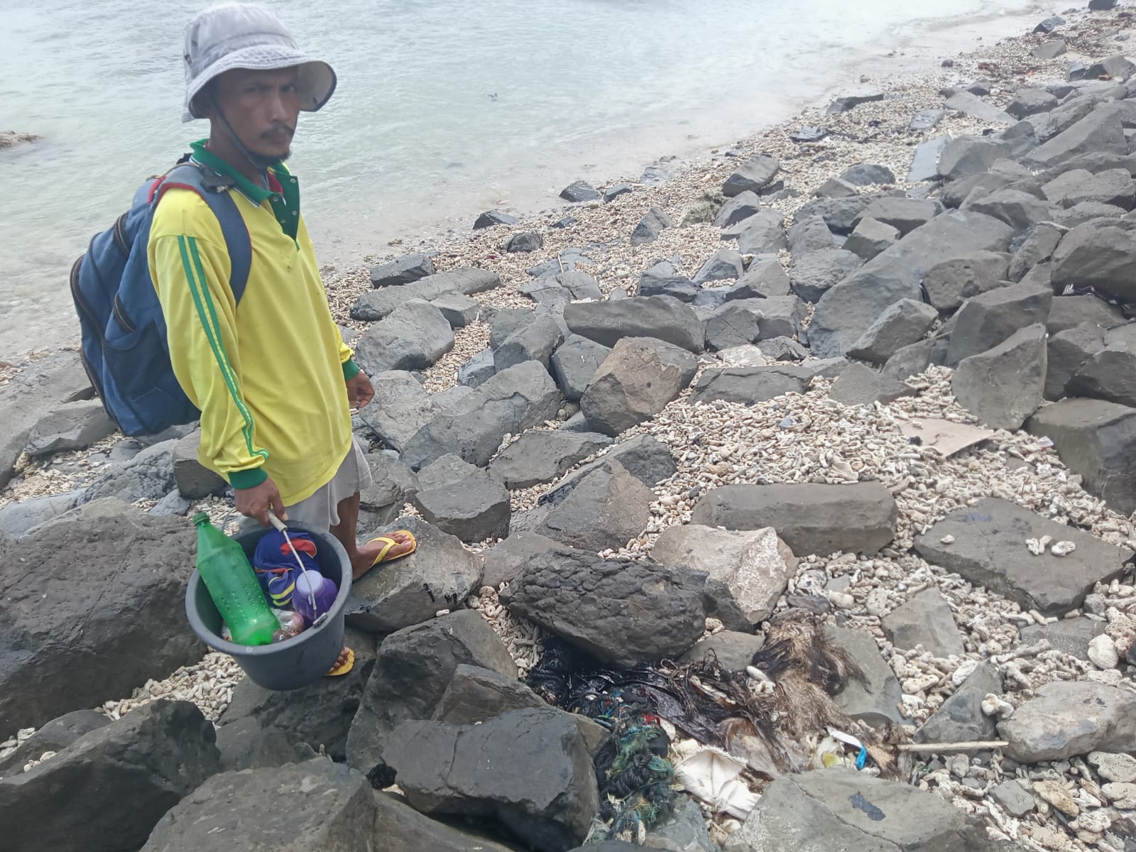 Belum Temukan Hewan Laut yang mati Terdampak Pencemaran