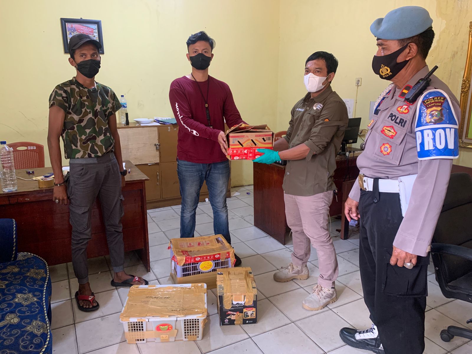 Lagi, KSKP Bakauheni Lamsel Gagalkan Penyelundupan Monyet