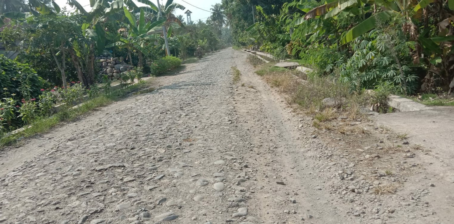 Lima Tahun Tidak Diperbaiki, Kerusakan Jalan Penghubung Pekon Kian Parah