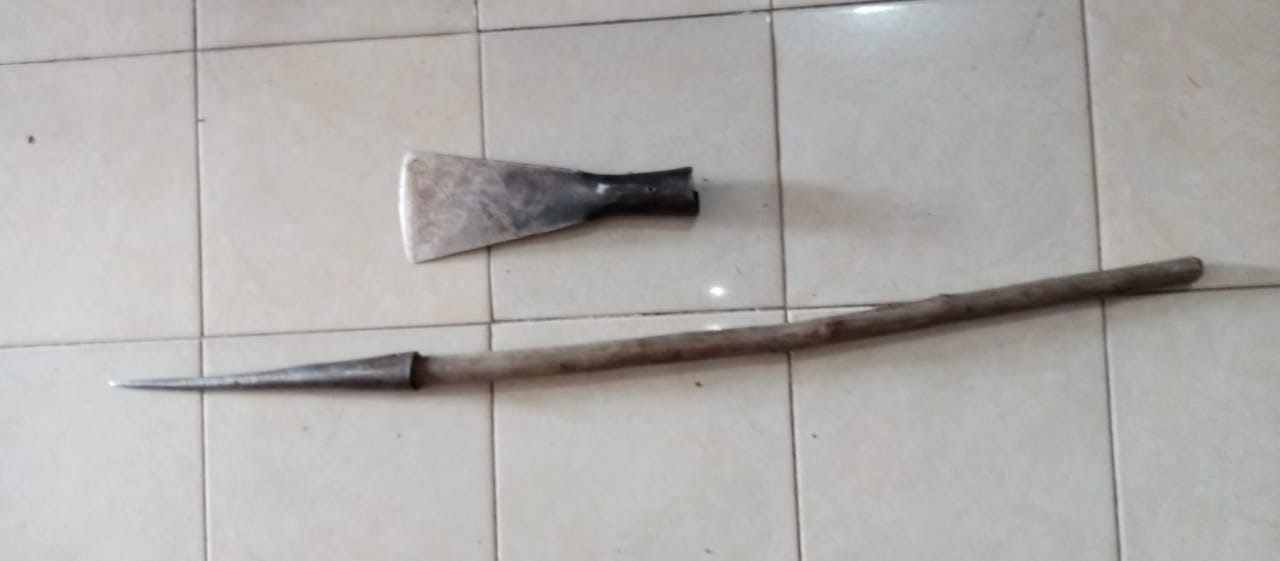 Curi Buah Sawit, Dua Orang Ditangkap