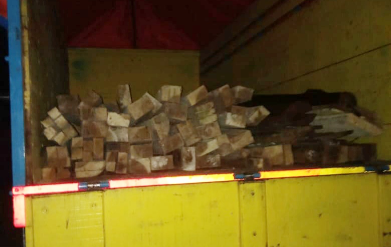 Dugaan Ilegal Logging di Register 39, KPH Periksa Dua Penggarap