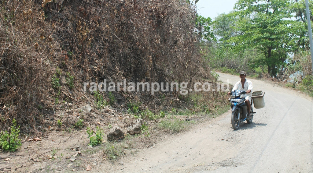 Jalan Lintas Pesisir Rusak Parah