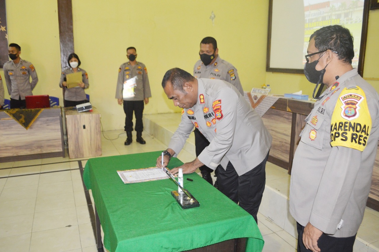 Produksi Jagung Lamtim Meningkat