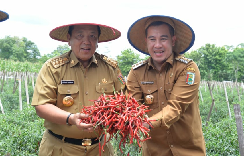 Wujudkan Kemandirian Petani Cabai Dengan Korporasi