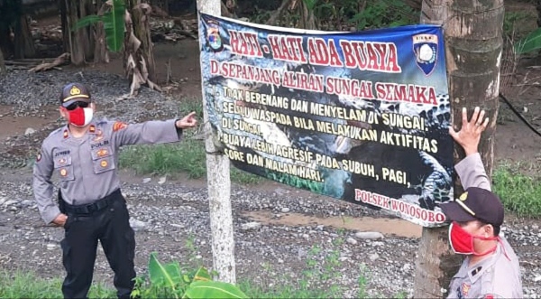 Peringatan! Waspada Serangan Buaya di Way Semaka
