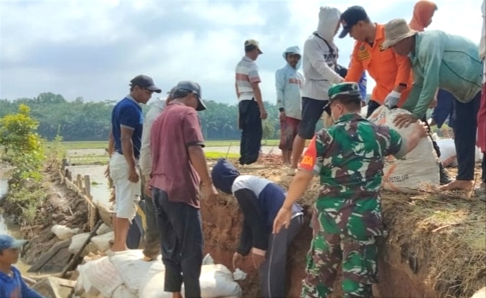 Perbaiki Jalan Amblas Penghubung Pringsewu-Lamteng