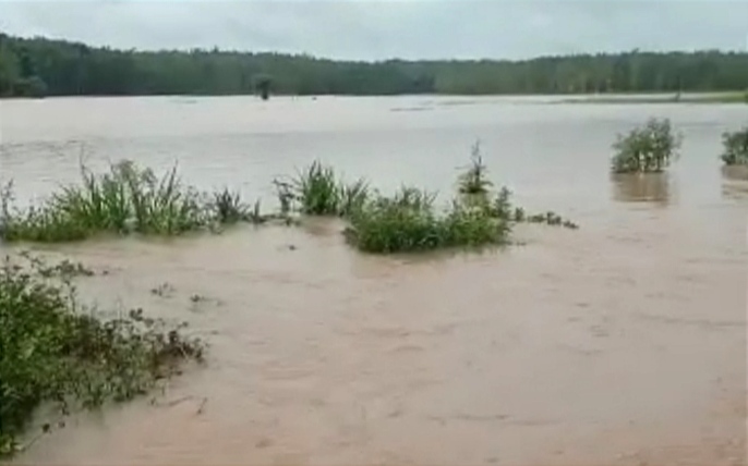 Ratusan Hektare Sawah di Waykanan Terendam