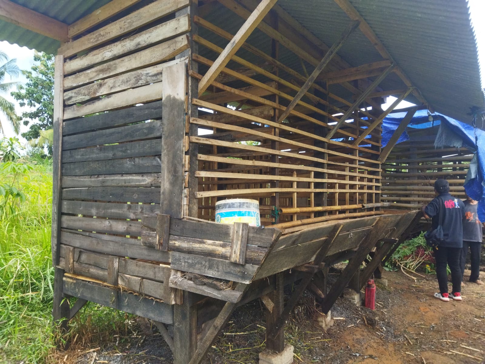 Pencuri Gasak 9 Ekor Kambing