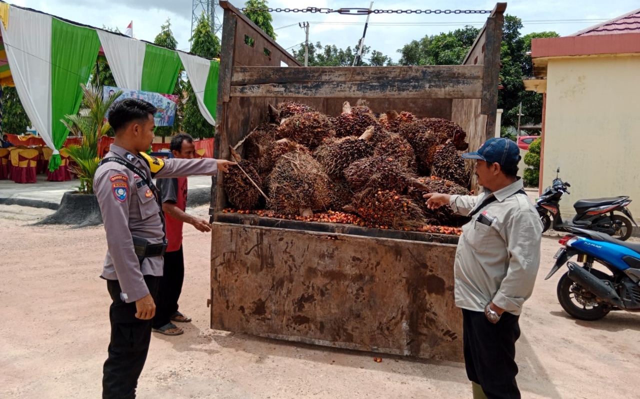 Tepergok, Maling Tinggalkan Puluhan Tandan Sawit Curian