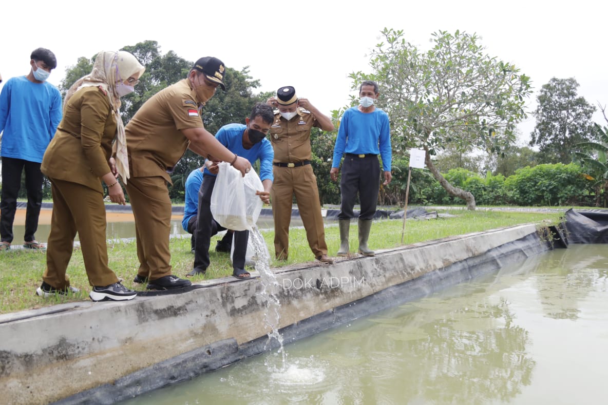 Tinjau Balai Benih Ikan Sentral di Lamtim, Ini Pesan Gubernur Arinal Djunaidi