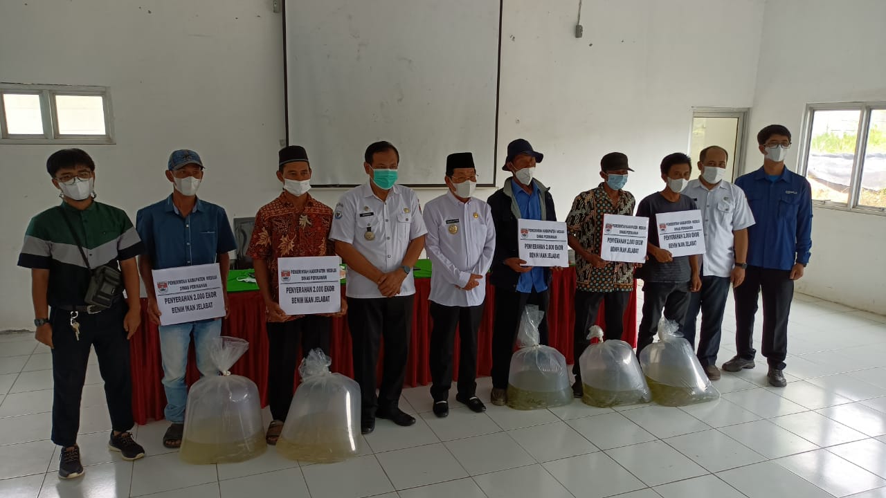 Bupati Mesuji Serahkan Bantuan Ikan Jelabat