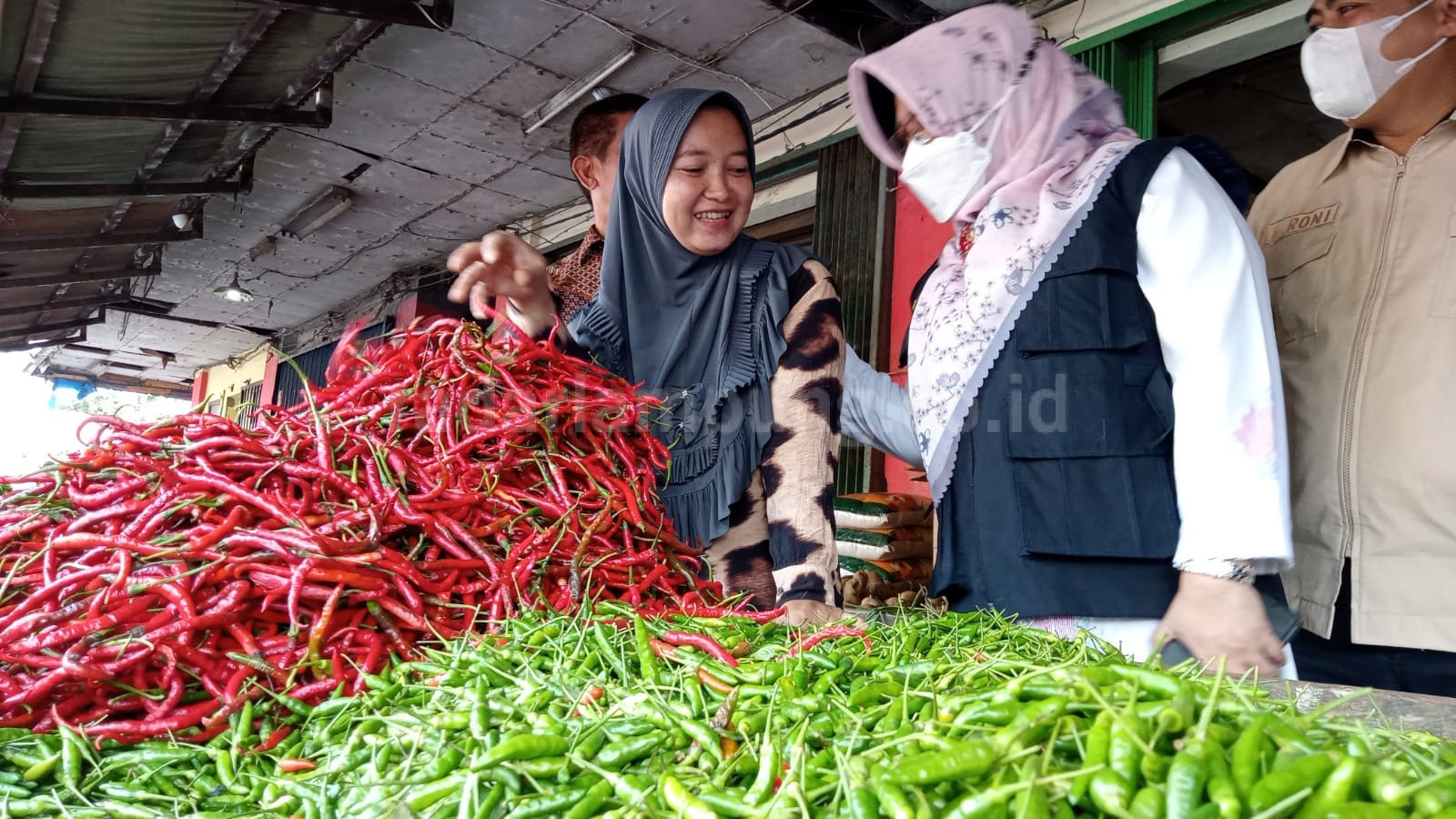 BPPSDMP Sebut Stok dan Harga Bawang di Lampung Masih Aman