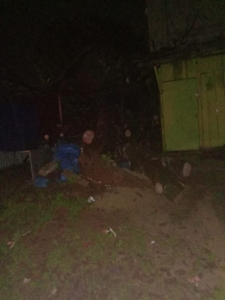 Pohon Tumbang Sebabkan Listrik Padam